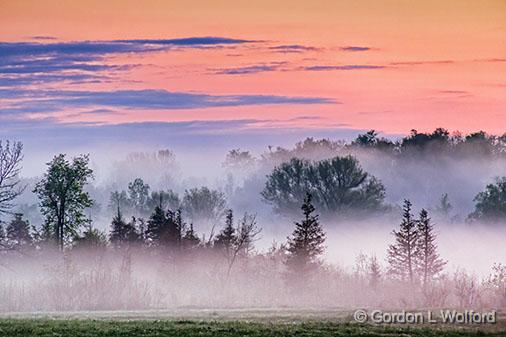 Fog At Sunrise_23682-3.jpg - Photographed near Smiths Falls, Ontario, Canada.